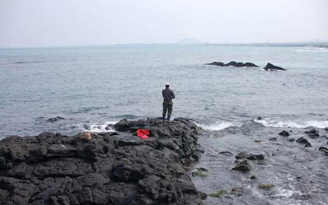 Palace in the Forest Pension