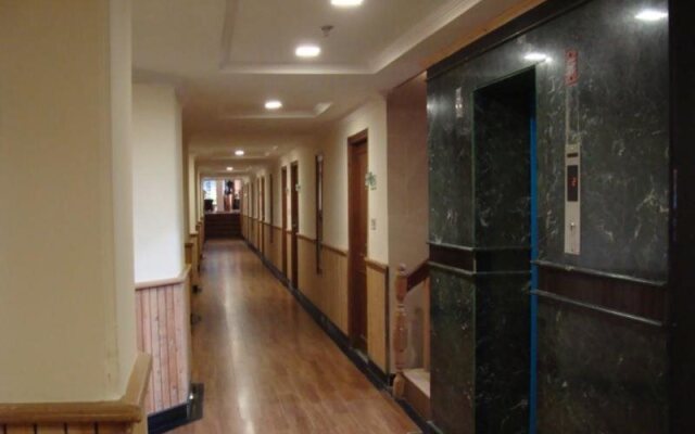 Hotel Piccadily Manali