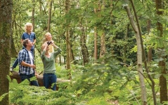 Exmoor Gate Lodges