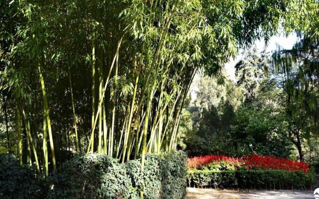 Апартаменты на Ботаникури 21