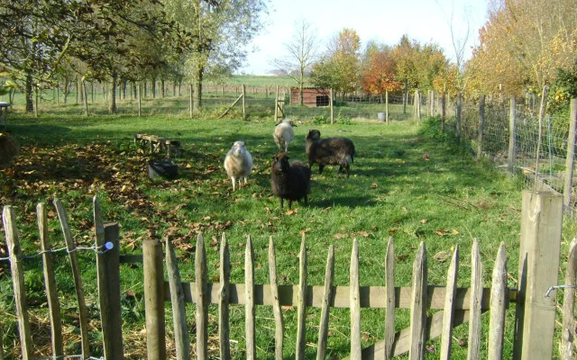 Gîte les Mineurs