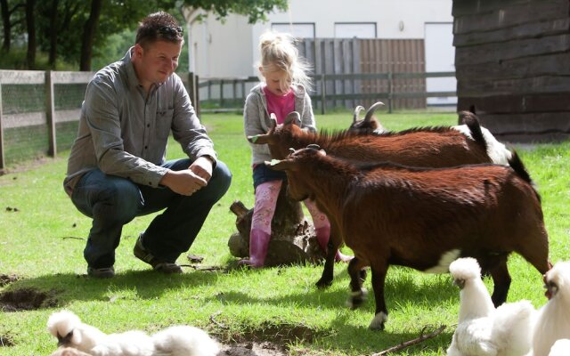 Cozy Villa With a Dishwasher, Near a National Park