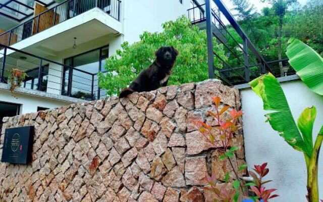 Wuji Fine•Mogan Mountain resort hotel