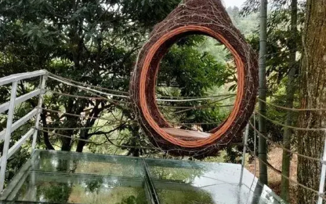 Qixin Valley Homestay