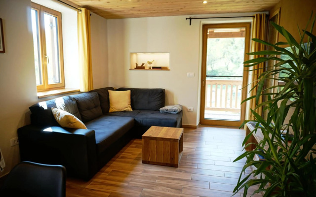 ecoHouse FURLAN - Apartment PINJA