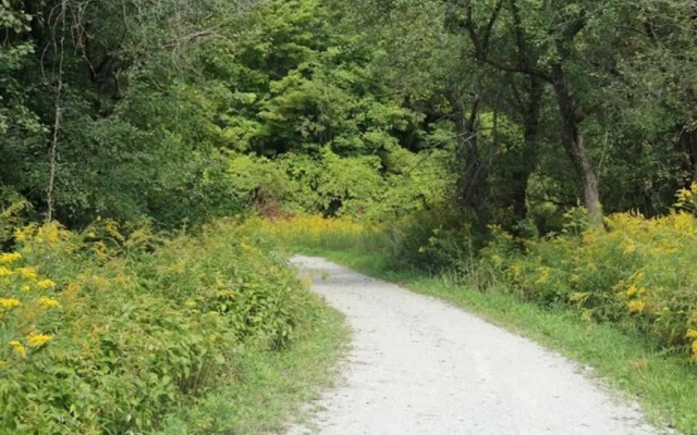 Adorable Private Suite in Ajax, unique 2 story