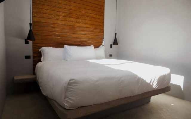 Pulso Valle de Guadalupe