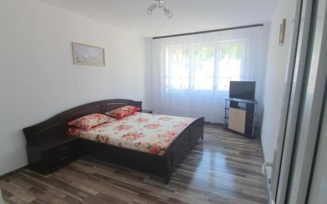 Apartament cu 3 camere Vatra Dornei