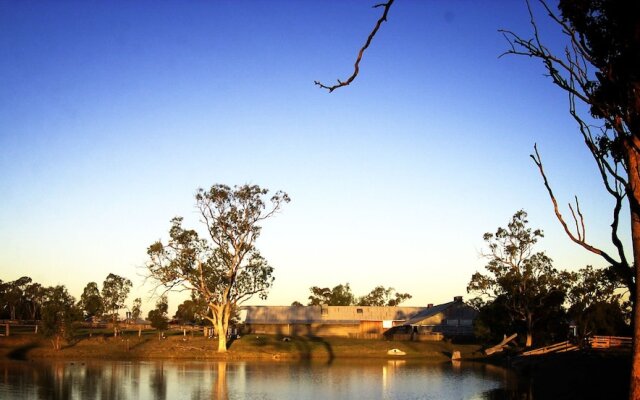 The Woolshed at Jondaryan - Campsite