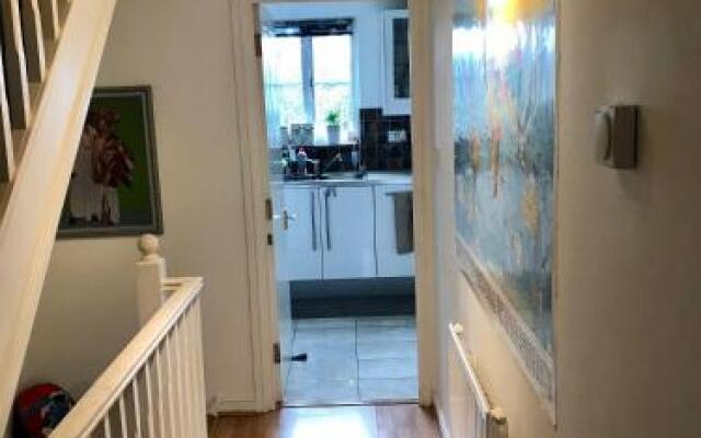 Staynorwich 69g - Hush View House