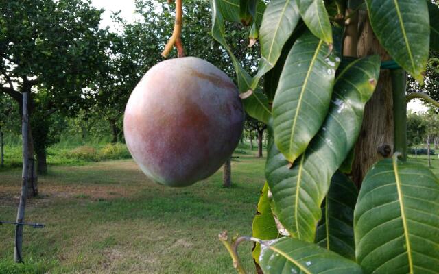Hiresicily - Giardino Tropicale Eco-friendly