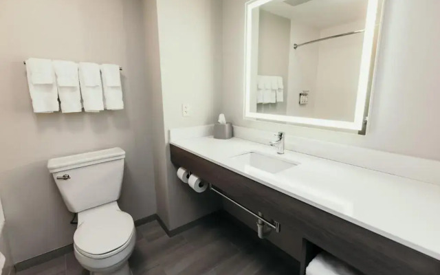 Holiday Inn Express and Suites Urbandale by IHG