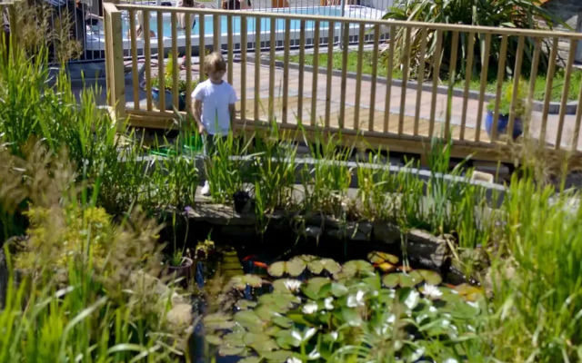 Dulrush Fishing Lodge and Guesthouse