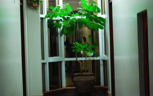My Room by Oyo Rooms