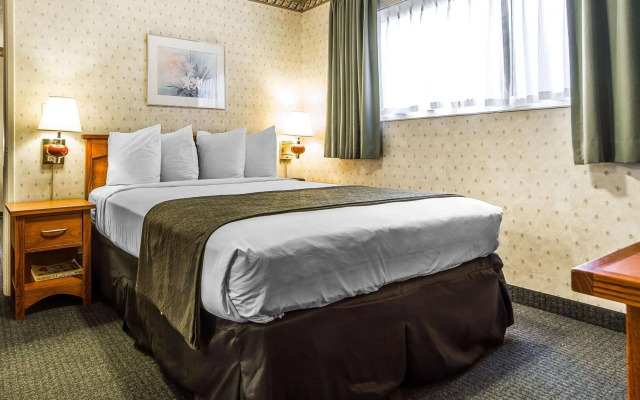 Quality Inn & Suites Silicon Valley