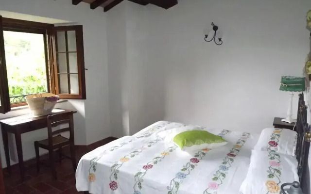 Cannabis Clinic & Restaurant