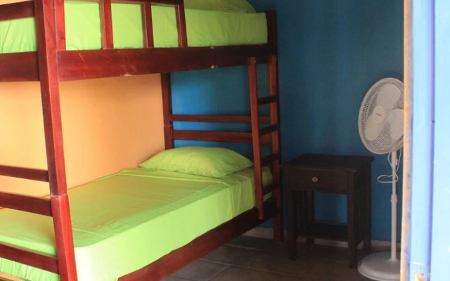 Triboo Hostel