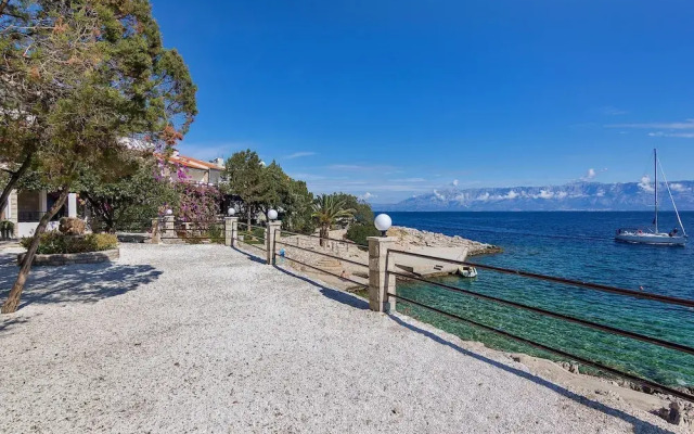 Nikola - 5 m From Beach - AA