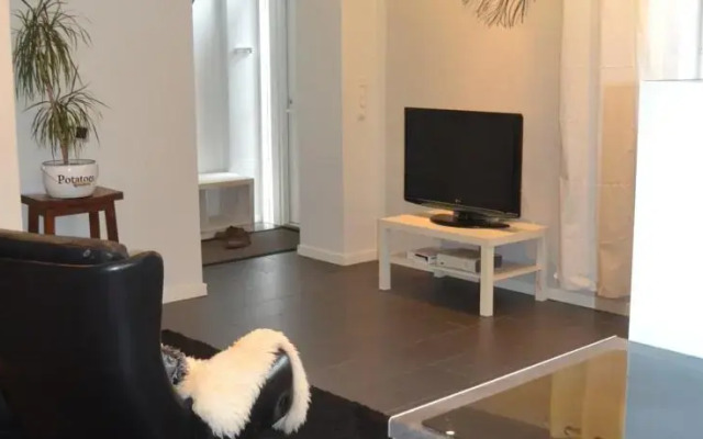 Säynätsalo Apartment
