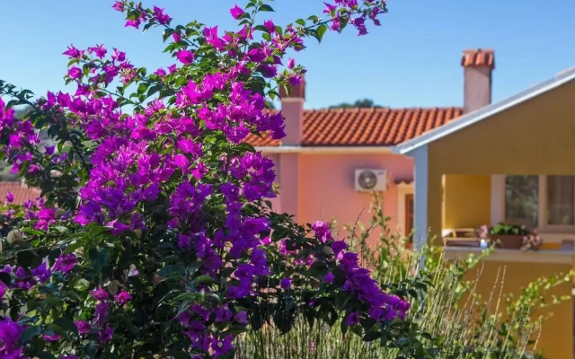 Apartment Bozena 1-4