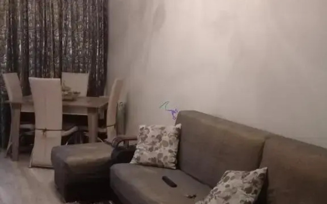 Apartment on Javakhishvili 3
