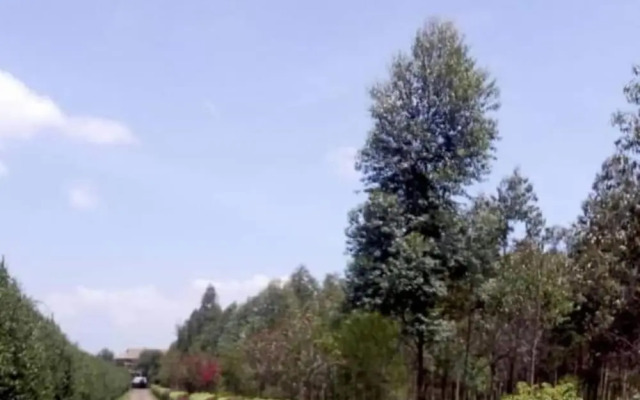 Stay.Plus Marura Holiday Villa Nakuru