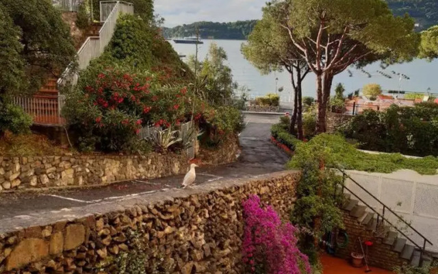 Olivo House 2
