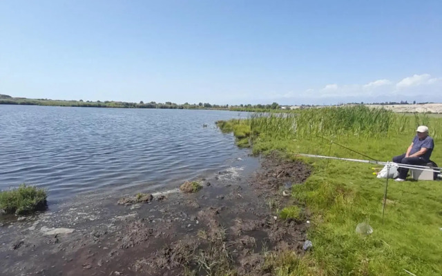 Waterfall in the yard