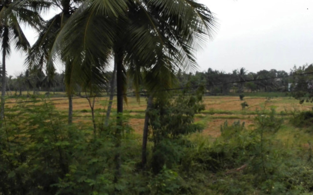 Salubrious Resort