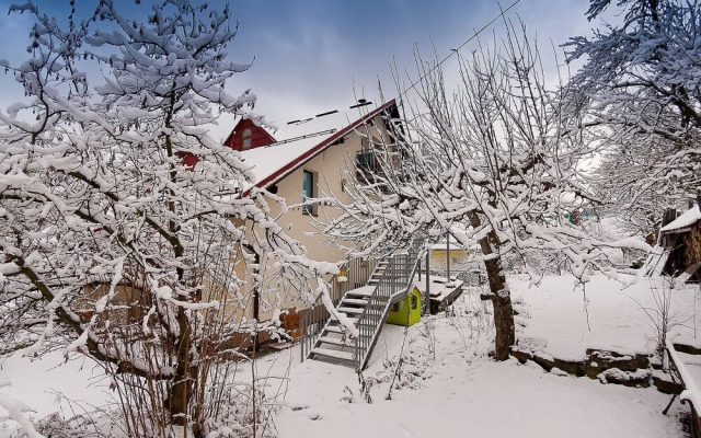 Kubaczka Wis a in Wis a