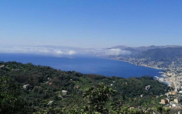 Stella Marina House -Citra 010047lt-0127