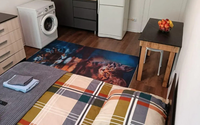 Апартаменты на дороге Муринская