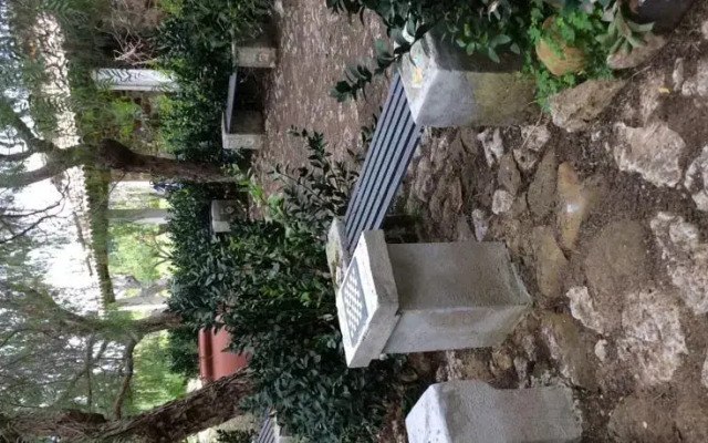 Le Case di Lilli