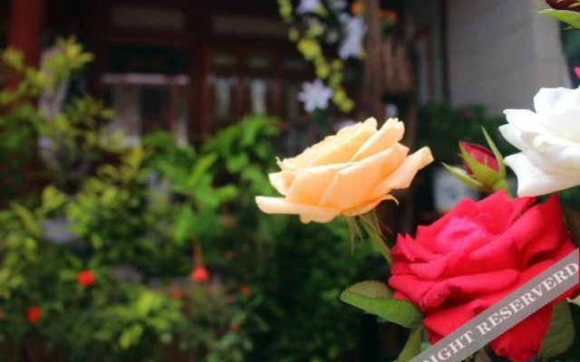 Li Jiang Nest Inn