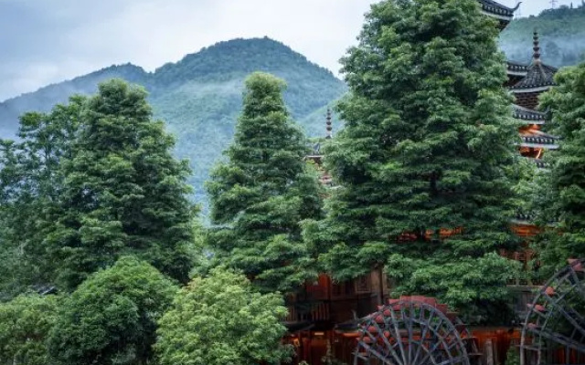Guyun Langqiao Holiday Hotel – Outside – Chongqing