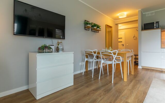 RentPlanet - Apartamenty Izerska