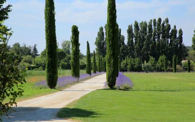 Villas Du Luberon - Mas Les Blondes