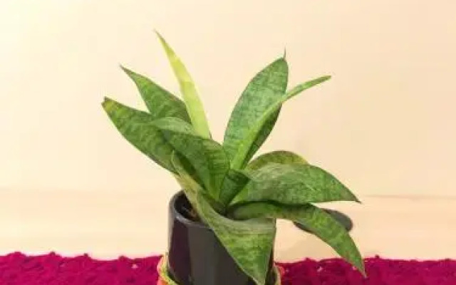 Pousada Sol Nascente