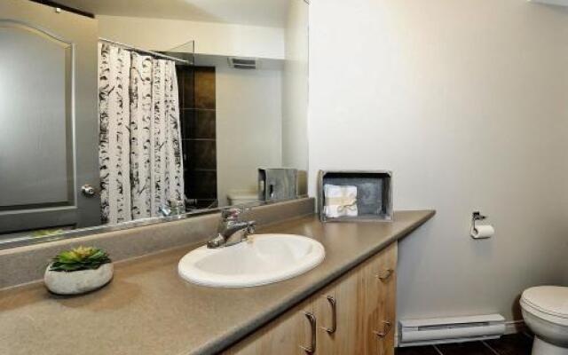 Chalet - 41 Chemin Du Hameau #24