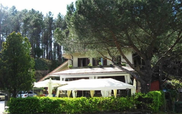 Hotel Monterosso Alto