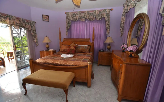 Dream Castle Villa, Montego Bay 8BR