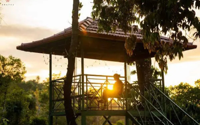 Zostel Coorg (Madikeri)