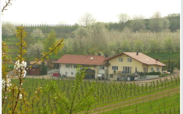 Weingut Ringwald