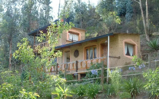 Altai Oasis Eco lodge