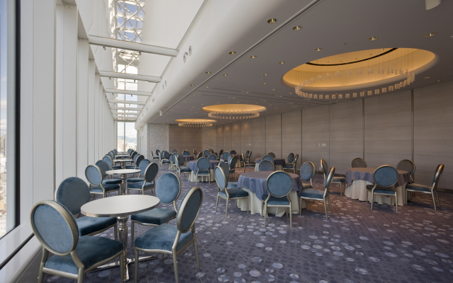 Hotel Elsereine Osaka