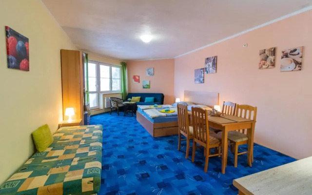 Apartmán Velké Losiny