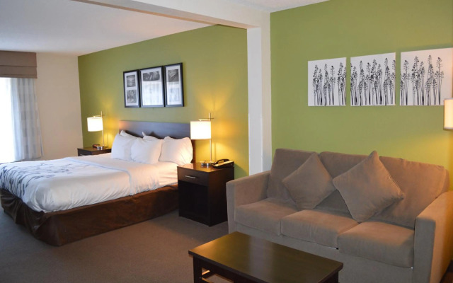 Sleep Inn & Suites Virginia Horse Center