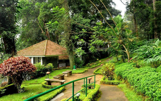 The Tall Trees Munnar