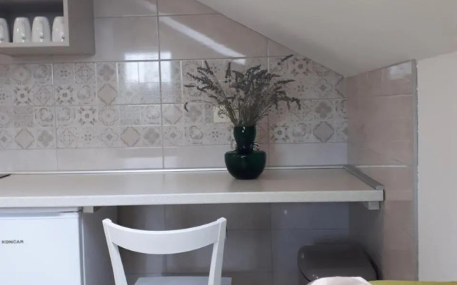 Apartments Zagy