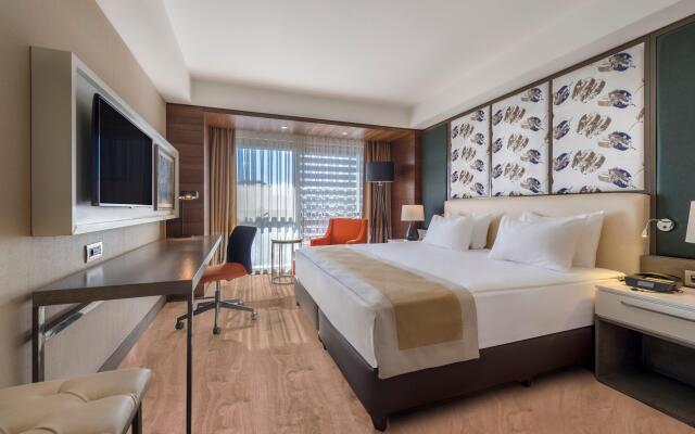 Holiday Inn Kayseri - Duvenonu, an IHG Hotel
